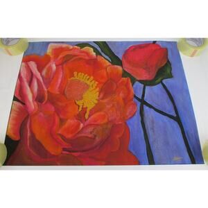 Pink Peony Flowers Print By Shaune Barton 28" wide x 22" high